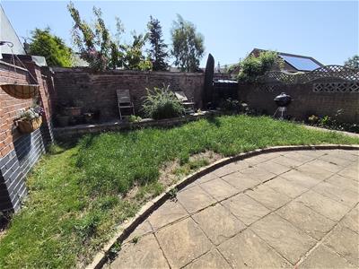 Picture 14